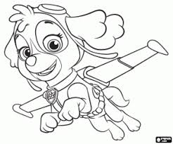 Your email address will not be published. Paw Patrol Advertisement The Labrador Dog Zuma Of Sketch Coloring Page Paw Patrol Coloring Pages Paw Patrol Coloring Paw Patrol Printables