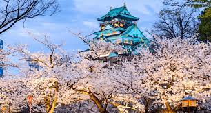 We did not find results for: Inilah Jadwal Dan Lokasi Melihat Bunga Sakura Di Jepang 2019