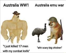 Pin By Vaniya On Country Humans Memes Funny Pictures Memes Emu War
