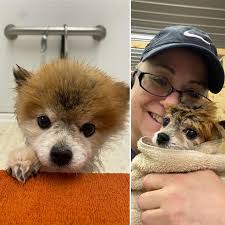 Tammy Brady (@dawgm0m2) • Instagram photos and videos