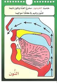 pin on مخارج الحروف