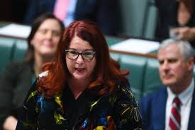 Angus Taylor Slams Emission Policies As Corporate Greed Dressed Up As Saving The Planet Sarah Hanson Young Government Political Topics