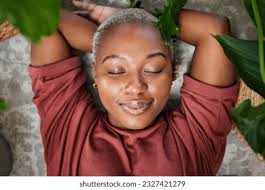 19+ Thousand Fern House Plant Royalty-Free Images, Stock Photos & Pictures 