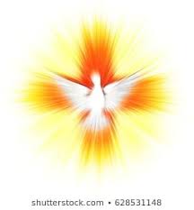 Holy Spirit Symbol White Dove Halo Stock Vector Royalty Free 371733955 In 2020 Church Banners Designs Pentecost Holy Spirit
