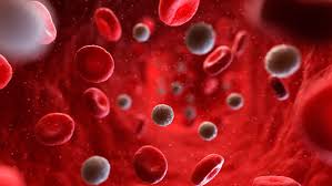What Red Blood Cell Indices Tell You About Your Health