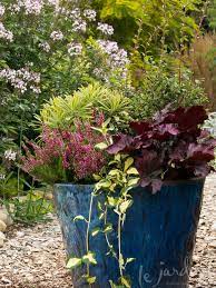 25 Colorful Foliage Ideas Foliage Plants List Foliage Garden Foliage Plants Plants Garden Containers