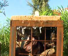 The Maricopa County Home And Garden Show Has Thousands Of Design Landscape And Home Improvement Compan Garden Show Landscape Design Home Improvement Companies