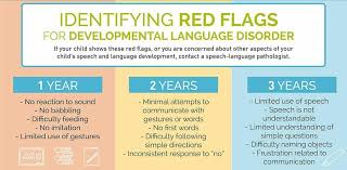 Image result for Language Milestone Red Flags
