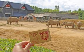 Zoo Passes Colchester Zoo