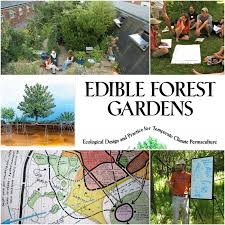 Edible Forest Gardens Author Dave Jacke Is Coming To Australia Milkwood Permaculture Courses Skills Stories