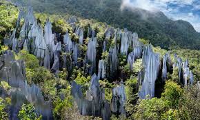 Taman negara gunung mulu atau lebih dikenali sebagai taman negara mulu merupakan taman yang terbesar di sarawak. 17 Best Unesco World Heritage Sites In South East Asia Wanderlust