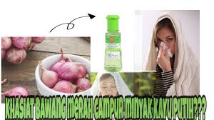 Khasiat bawang putih memang diketahui sangat berguna untuk kesehatan manusia kerana membantu dalam membunuh parasit, membantu dalam sistem pernafasan. Khasiat Dibalik Campuran Bawang Merah Dan Minyak Kayu Putih Youtube