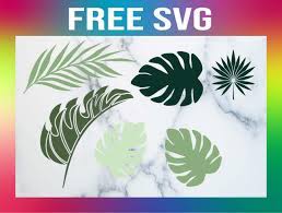 Download Free Palm Leaf Svg