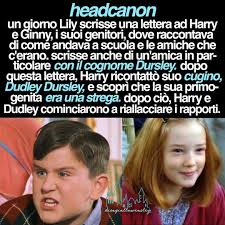Heyo Ultimo Headcanon Del Tema Non Fate Floppare C Nel 2020 Harry Potter Divertente Harry Potter Umorismo Su Harry Potter