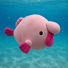Image result for blobfish