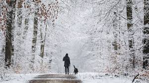 Snowplaza zeigt wann es wieder schneit und wie viel schnee in den skigebieten liegt. Wetter In Deutschland Es Wird Schnee Und Sturm Erwartet