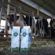 Eco yap milk is distributed in leading supermarket, local market and schools throughout malaysia. Posts Tagged As Aimcoffee Wopita
