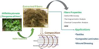 Image result for Girardinia bullosa