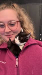 ORIGINAL OWNERS WERE FOUND Someone dumped these cats