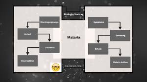 Der maligne verlauf der malaria tropica resultiert aus den zugrundeliegenden fieberschübe treten bei der malaria tropica unregelmäßig auf. Biologie Vortrag Malaria By Nils Haasler