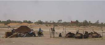 Camels play a very important role in the life of the kazak people, right from ancient times; Psammotourism Desert Sand As A Specific Resource And Touristic Experience
