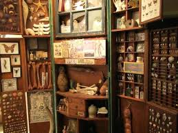 The Cabinet Of Curiosities The Cabinet Of Curiosity Cabinet Curiosities Haworth Cabinet Of Curiosities Cabinet Curiosity