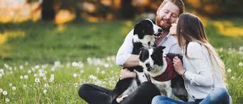 Las mejores recetas de cocina, artículos interesantes de cocina y los alimentos más saludables en bekia cocina. Perros Y Relaciones De Pareja Como Influyen Y Que Aportan Bekia Mascotas