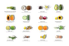 It's the way it is harvested that causes so much environmental devastation. Eleven Australia About