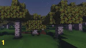 Birch Leaves Craft Minecraft Pe Texture Packs