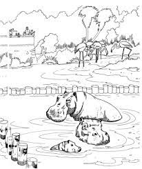 Desenho De Hipopotamo Em Uma Lagoa No Zoologico Para Colorir Desenhos Para Colorir E Imprimir Gratis