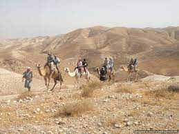 Now in high school, futaba is not your typical adolescent girl. Has Abraham S Tent Been Found The Heart Of Israel