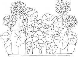Coloriage Jardin Fleuri Dessin Gratuit A Imprimer