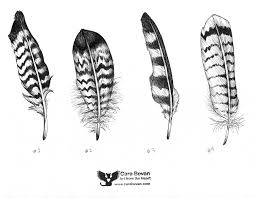 These drawings are intended for a tattoo design that will cover a cross tattoo. Hawk Feathers Micron Ink Drawings Illustration