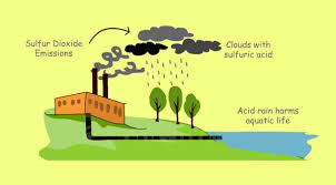 Pin On Environmental Pollution