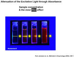 Sample absorption can lead to the primary inner filter effect (type i inner filter effect) and is the first factor that should be considered. The Inner Filter Effect Is A Problem For Any Fluorescence Measurement