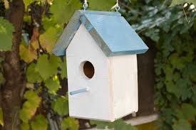 Maison A Oiseaux A Faire Soi Meme Une Idee Geniale Maisons D Oiseaux Faites Maison Bricolage Nichoir Idees Nichoir
