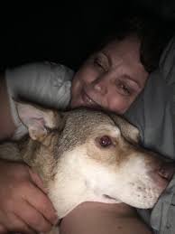 My friend got a new puppy named Koda, I'm convinced she's really just a  teddy bear come to life though 🐻