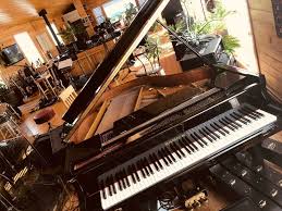 Black Baby Grand Piano Used Samick Sg 140a 4 7 Black Ebony Petite Baby Grand Piano Samick Baby Grand Pianos Piano Black Ebony