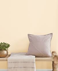 Image result for Pastel French Vanilla 1984 Tempo