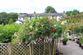 Lymefield Garden Centre Farm Shop Tea Room Hyde Menu Prices Restaurant Reviews Tripadvisor