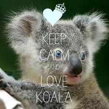 Keep Calm And Love Koala Created With Keep Calm And Carry On For Ios Keepcalm Koala Keep Calm Pictures Keep Calm Signs Keep Calm