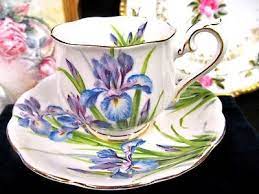 Royal Albert Tea Cup And Saucer Iris Purple Floral Painted Teacup Pattern Tea Cups Pretty Tea Cups Tea