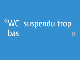 Une petite marche devant le wc ? Wc Suspendu Trop Bas 29 Messages