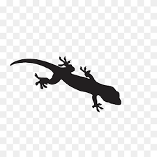 Cartoon character lizard vectors (6,514). Cartoon Drawing Euclidean Cartoon Black Lizard Cartoon Character Animals Black Hair Png Pngwing
