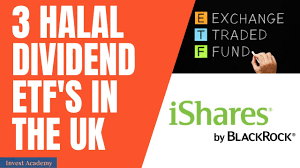 We are dedicated to providing shariah compliance investment solutions for indian share. 3 Halal Dividend Etfs In The Uk Europe Youtube