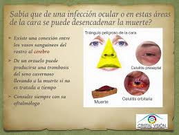 Los anticoagulantes ayudan a disolver el coágulo de sangre y evitan que empeore o que reaparezca. Facebook
