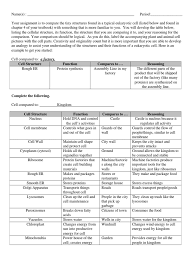 Maybe you would like to learn more about one of these? Cell Analogy Worksheet Pdf Endoplasmic Reticulum Cell Biology