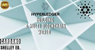 The chain codes are written in a programming language developed by google called golang. Iohk Joins Hyperledger A Multi Blockchain World Business Partnerships Altcoin Buzz Https Www Altcoinbuzz Blockchain Cryptocurrency News Cryptocurrency