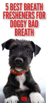 5 Best Dog Breath Freshener To Cure Dog S Bad Breath Good Doggies Online Dog Breath Bad Dog Breath Dog Breath Remedy