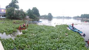 Lakukan Aksi Sosial Bersih Bersih Situ Tujuh Muara Ganespa Bersama Pelajar Se Tangsel Cegah Resiko Banjir Tangerangraya Net Korban saat ditemukan dalam posisi tengkurap, ujar dodi yang juga menjabat sebagai ketua okp ganespa.